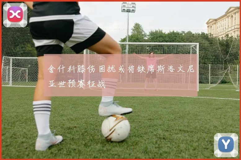 舍什科膝伤困扰或将缺席斯洛文尼亚世预赛征战