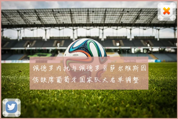 佩德罗内托与佩德罗贡萨尔维斯因伤缺席葡萄牙国家队大名单调整