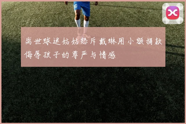 离世球迷姑姑怒斥戴琳用小额捐款侮辱孩子的尊严与情感