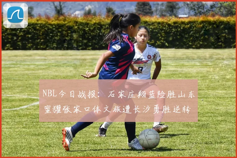 NBL今日战报：石家庄翔蓝险胜山东蜜獾张家口体文旅遭长沙勇胜逆转