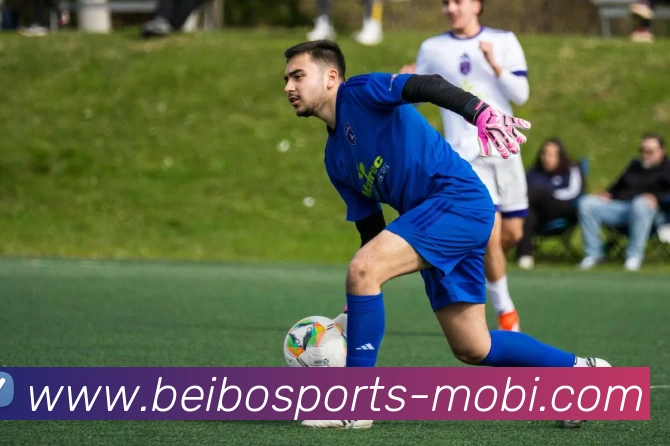 贝博体育全站App